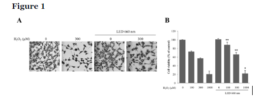 inhibits cell death