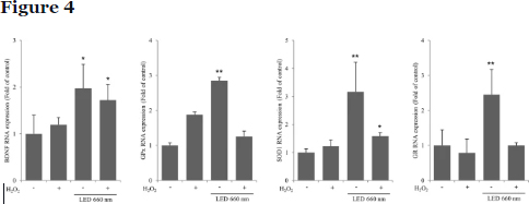 Antioxidant Enzymes