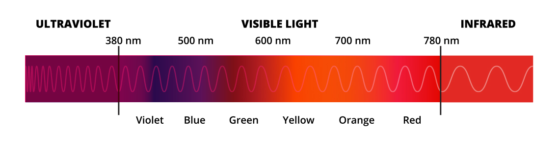 Red Light Wavelength Matters