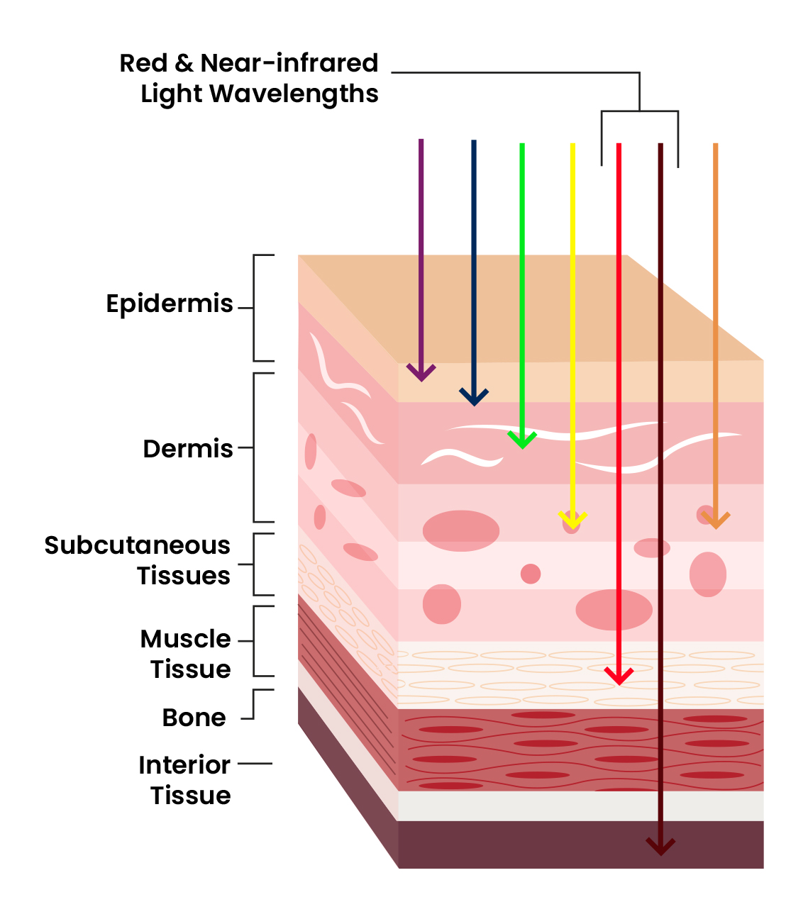 Red Light vs Near Infrared Light Wavelengths